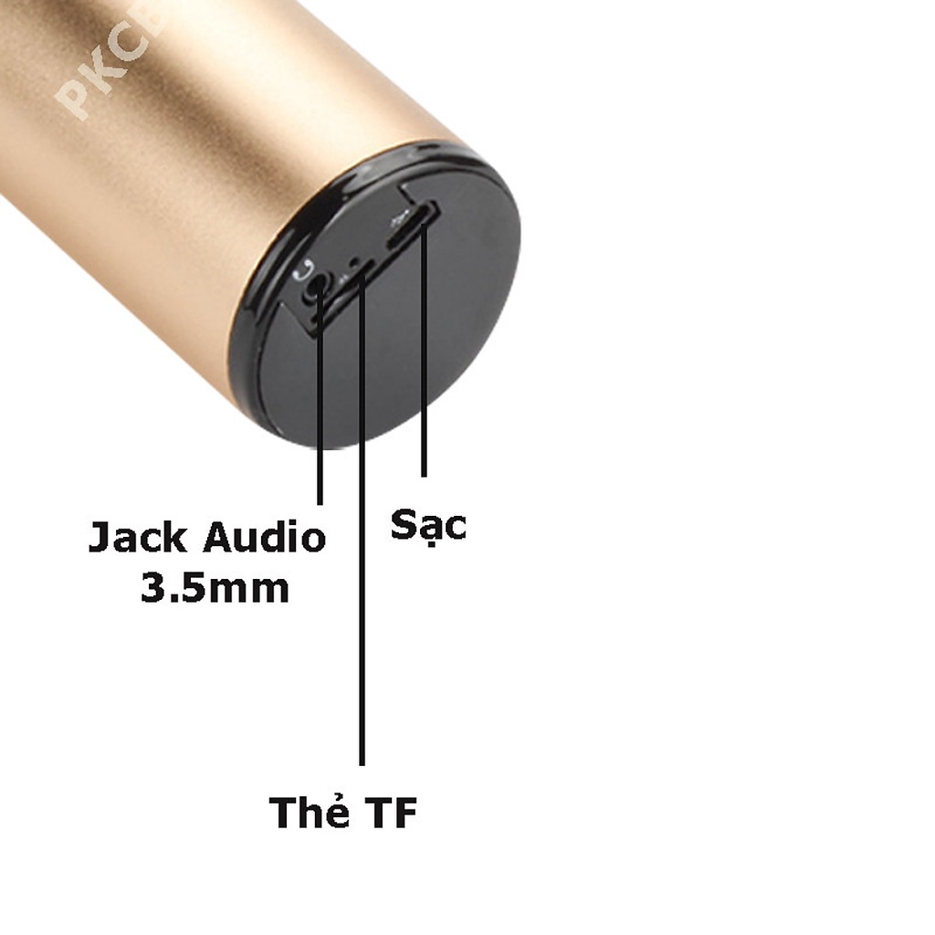 Micro Bluetooth không dây kèm loa Karaoke PKCB 246 10w Line 3.5mm, TF chip DSP - Hàng Chính Hãng