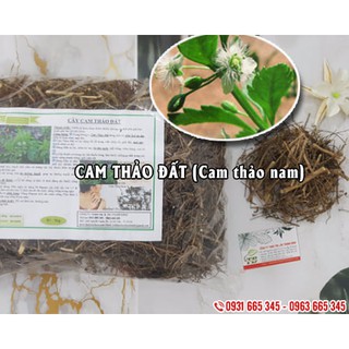 Cây cam thảo đất 100% hữu cơ