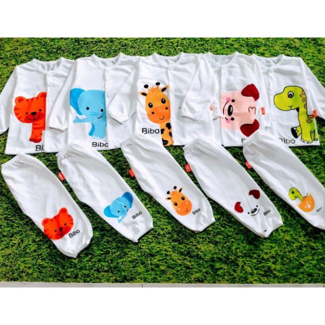 Combo 5 bộ cottong cúc giữa