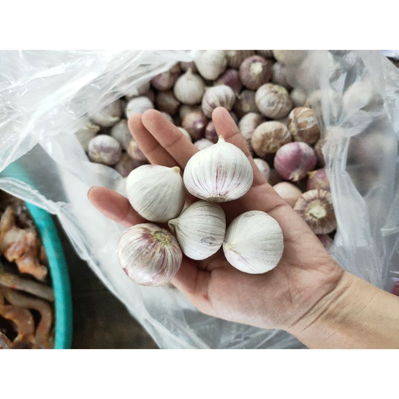 Tỏi cô đơn 1kg size lớn