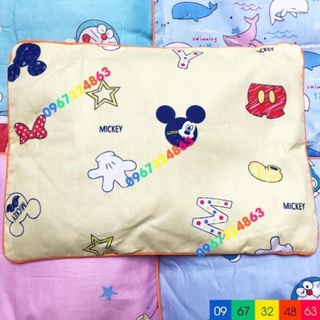 Gối vỏ đỗ cao cấp cho bé