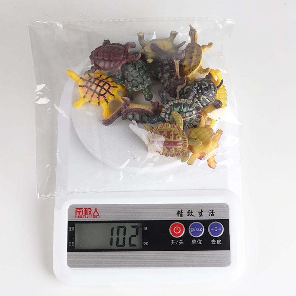 Set 12 Mô Hình Rùa Biển Đồ Chơi Giáo Dục Nhận Thức Sớm Cho Bé