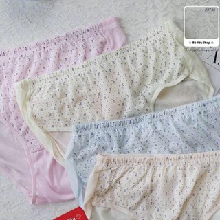 (748) combo 10 quần lót đông xuân hoa liti. Cotton BIG SIZE