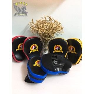 Đích Đỡ Bàn Tay Võ Thuật - Đích Đấm Võ Thuật Cao Cấp - Đích Đấm Boxing AIBEIJIAN