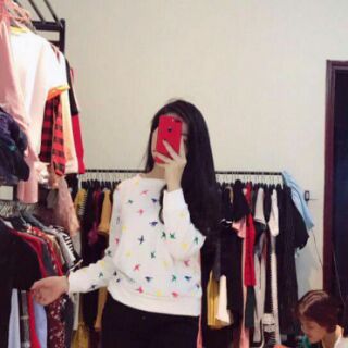Bộ đồ chim én