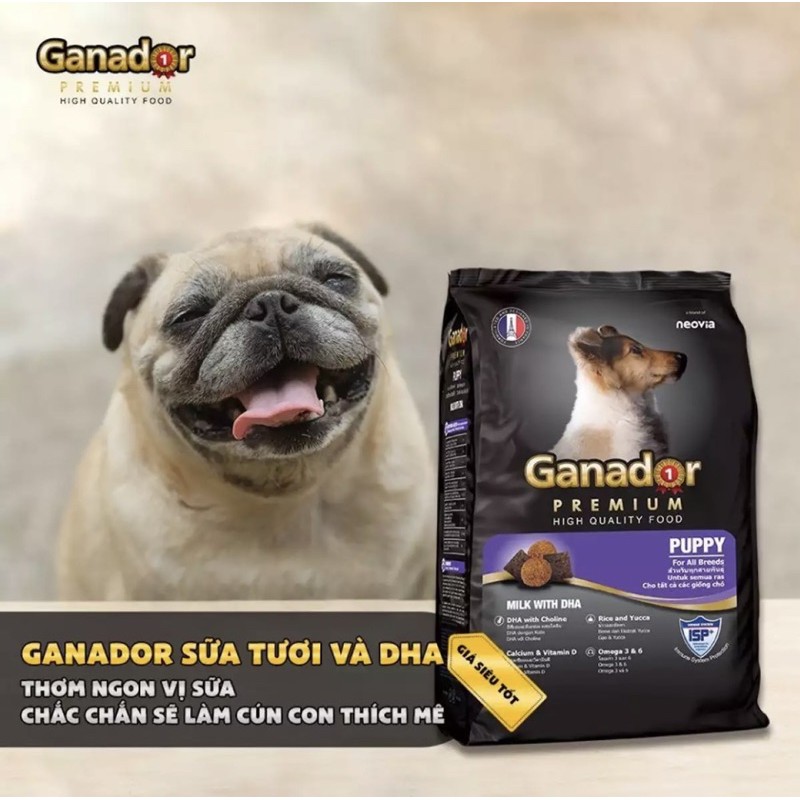 GANADOR PUPPY sữa & DHA bao 20kg chia 50 gói