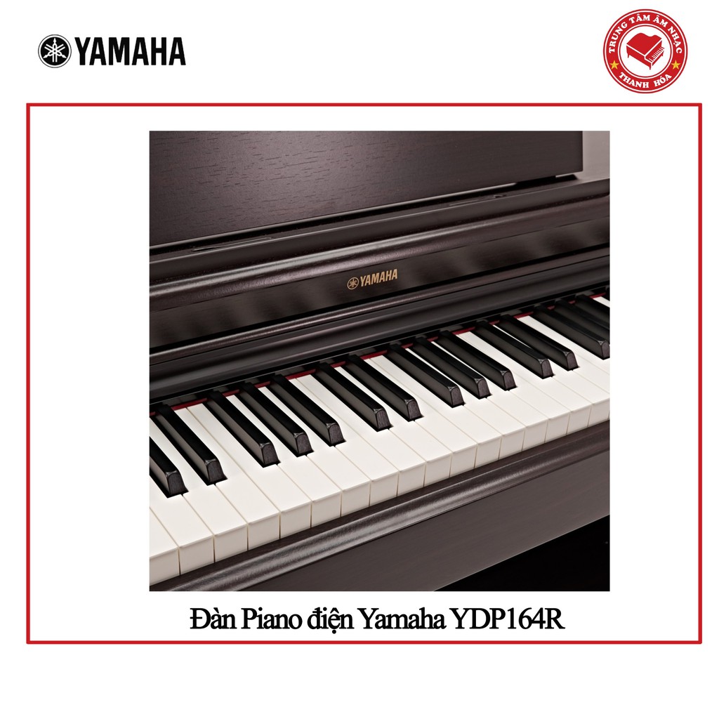 Đàn Piano điện Yamaha YDP164R - Hàng Chính hãng
