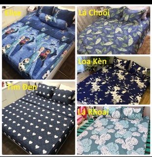 Set ga gối 3 món