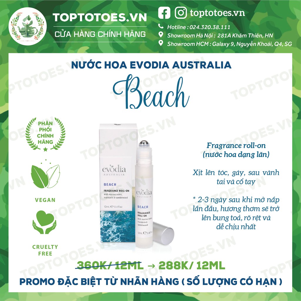 Nước hoa Evodia Australia BEACH | Thế Giới Skin Care