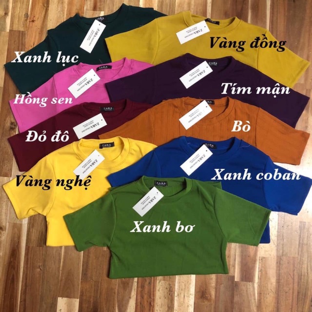 Combo 11 áo thun 319k