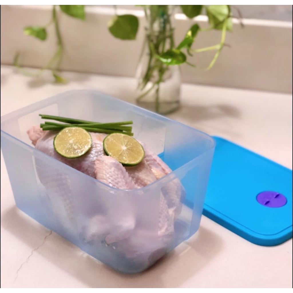 Bộ hộp trữ đông có nút đồng hồ Tupperware Freezermate Modern Set - Bảo hành trọn đời - Nhựa nguyên sinh, an toàn