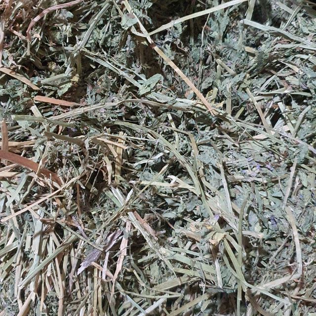 Cỏ Khô Alfalfa Thức ăn cho thỏ , bọ ú gói 500gr