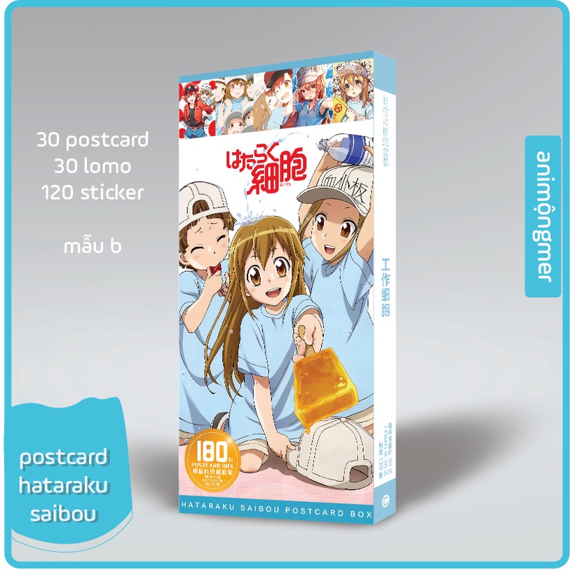 Postcard hataraku saibou