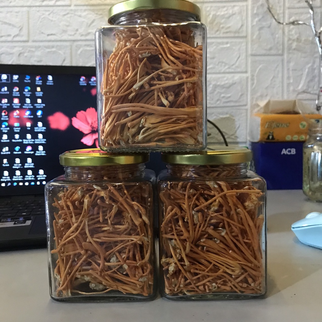Đông Trùng Hạ Thảo Bio Gold  Sấy Khô Sợi To  Ngon Hàng Cao Cấp Bồi Bổ Cơ Thể