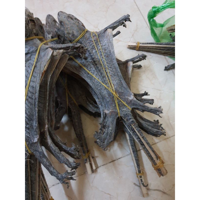 Tắc kè khô/1 con to | BigBuy360 - bigbuy360.vn