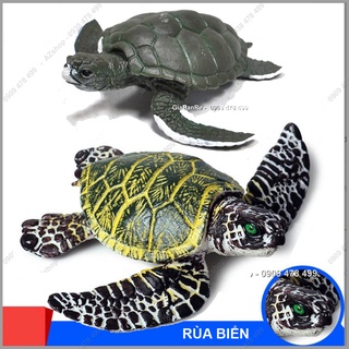 Mô Hình Rùa Biển Đồi Mồi Sống Động Size Trung – Thế Giới Đại Dương -  7703.9