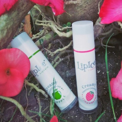 Son Dưỡng Không Màu Chuyển Kem Mịn Chống Nắng Lipice Creamy 4.3g SPF15