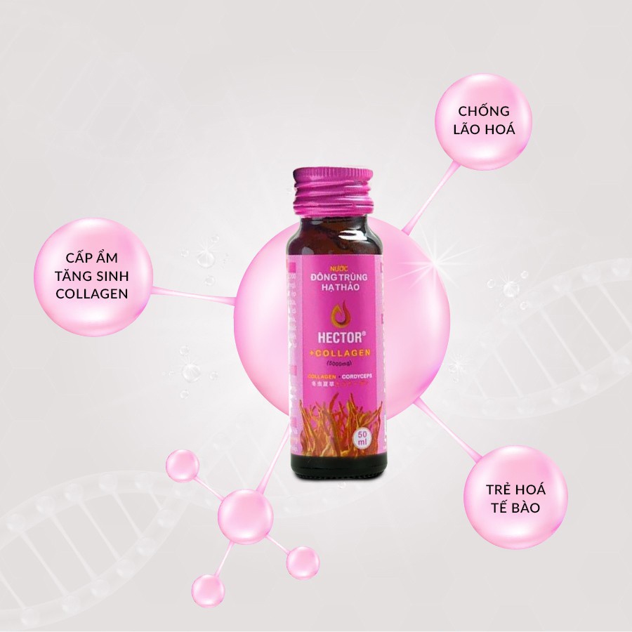 Nước uống đông trùng hạ thảo Hector collagen chống lão hóa (Hộp 10 lọ)