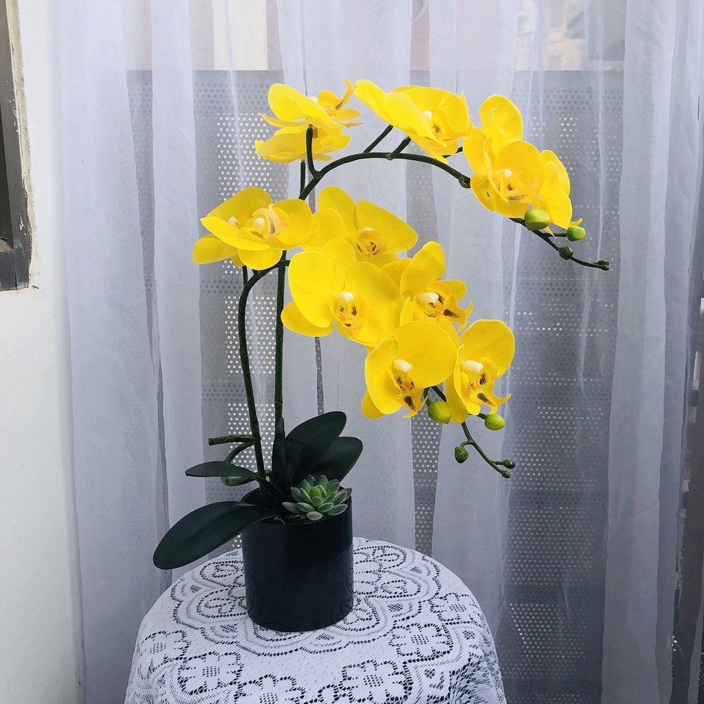 Bình Hoa Để Bàn Hoa Lan Hồ Điệp Cao Cấp Điểm Sen Đá Độc Đáo Sang Trọng DG-62