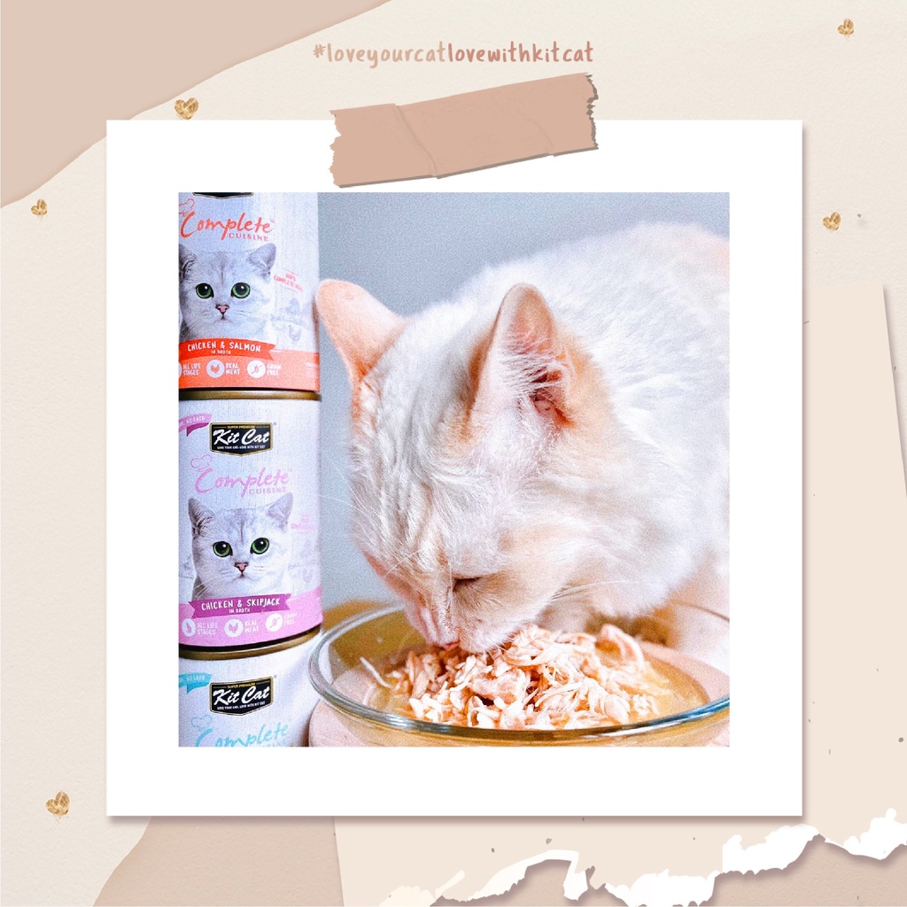 Pate lon Kit Cat thịt hộp nước sốt gà xé / cá ngừ 150g cho mèo