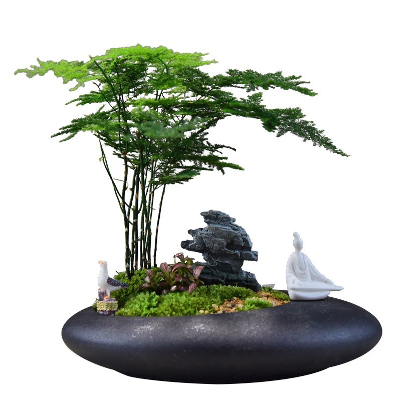 chậu gốm mini tran trí để bàn 26cm
