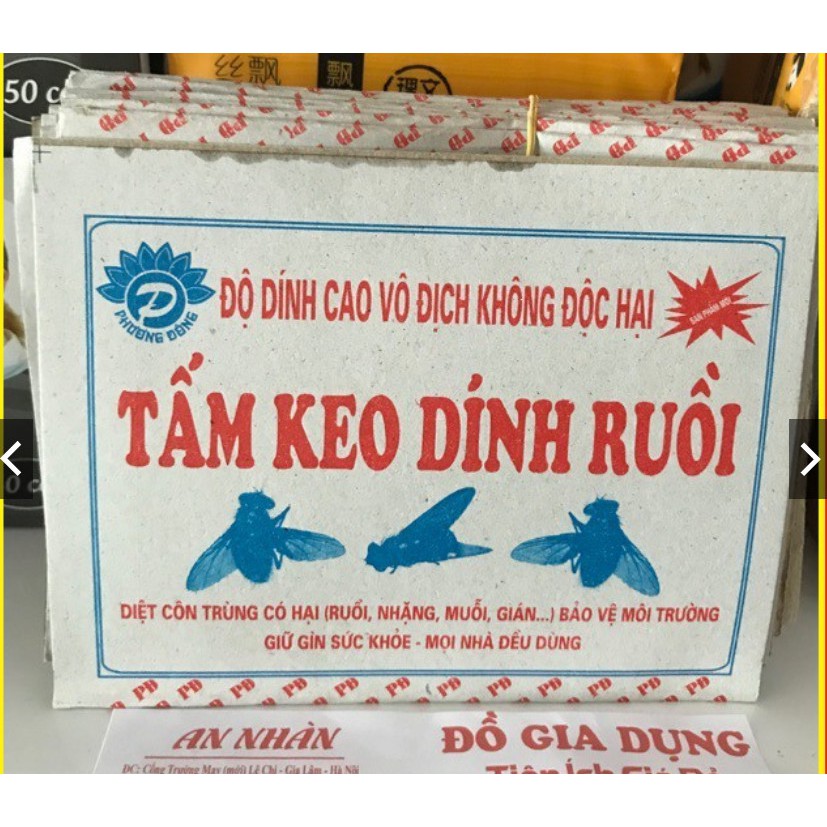 10 tấm keo dính ruồi siêu dính