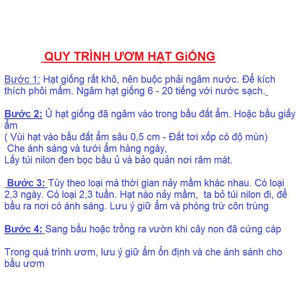 Hạt giống hoa Ngọc Thảo- Mai địa thảo kép MIX nhiều màu gói 20 hạt xuất xứ Đức luckyseed hạt siêu rẻ