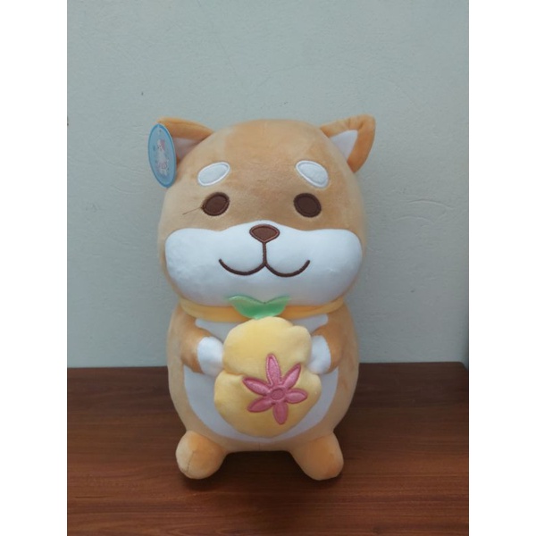 Chó Shiba ôm trái dứa