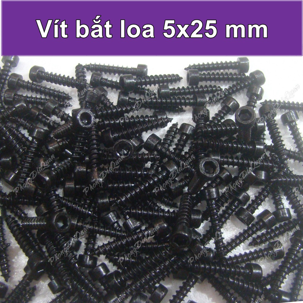 [100 con] Vít bắt loa 5x25, đầu lục giác chìm. Hàng chuẩn, đẹp