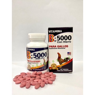 B12 5000 - Bổ sung Vitamin B12 hàm lượng cao giúp gà tăng nước máu sung hừng