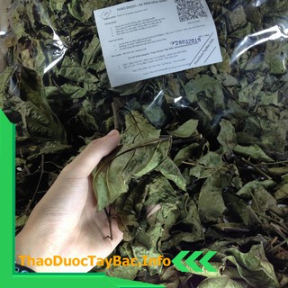 Cây Xạ Đen Hòa Bình [1Kg]