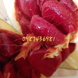 Combo dầu gấc