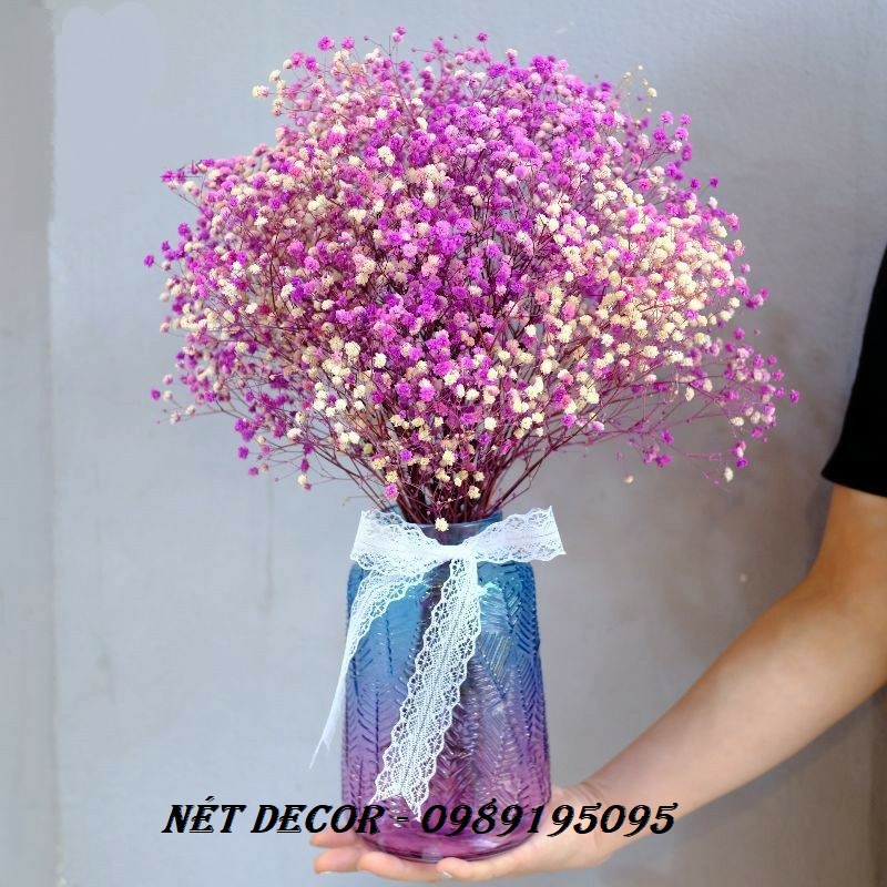 [FREESHIP] Bó hoa khô BABY'S BREATH Decor🌸Hoa Baby🌸 Trang trí