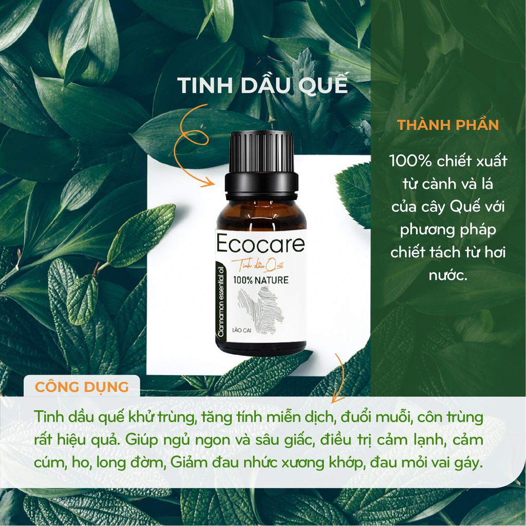 Tinh dầu thiên nhiên cao cấp ECOCARE 10ml, mùi thơm hoàn toàn nguyên chất (Bưởi, Quế, Cam, Sả Chanh, Bạc Hà, Nhài)