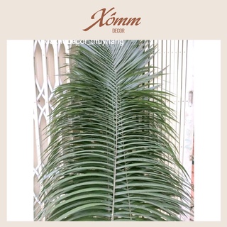Lá mây cắm hoa , trang trí decor