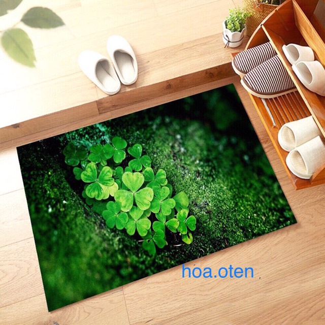 Thảm Lau Chân 3D Ghome Siêu Đẹp 60X40Cm