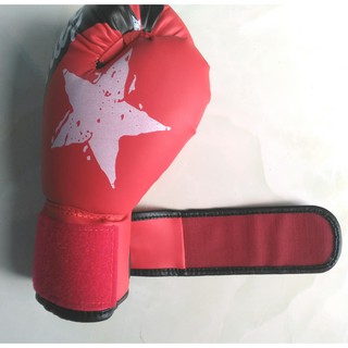 Găng boxing Fairtex 10 Oz