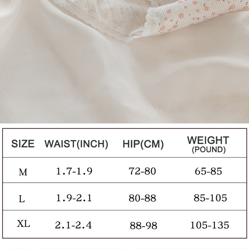 Cute Byte Bộ 3 Quần Lót Cotton In Hình Gấu / Heo Dễ Thương Cho Nữ