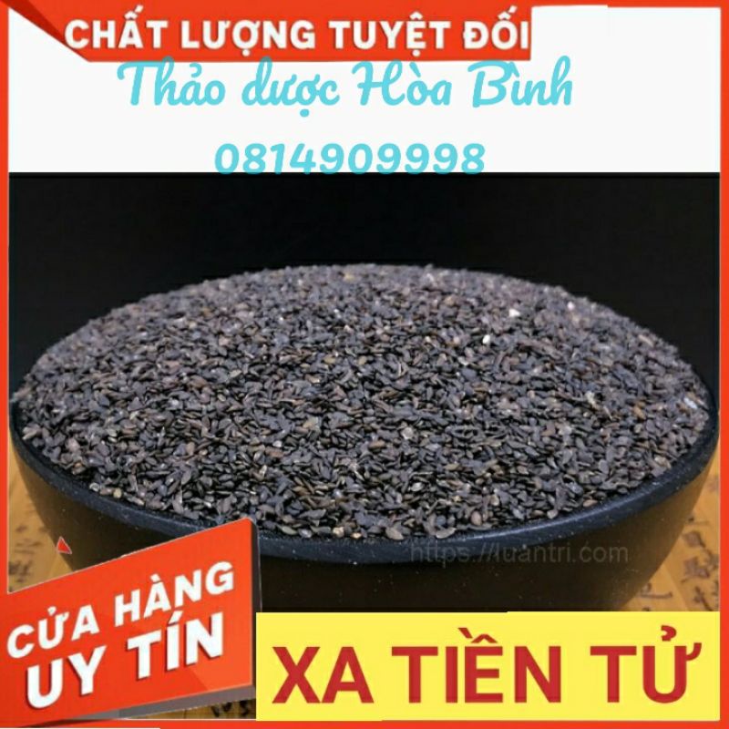 500g Xa tiền tử - Hạt Cây Mã Đề - Hàng chuẩn, mới, sạch