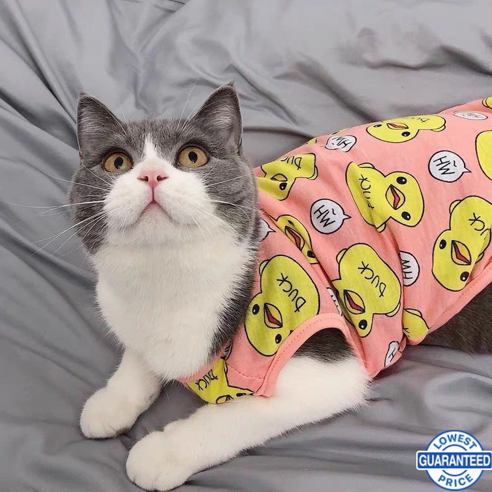 Áo thu vải lưới thời trang cho thú cưng XS-XXL