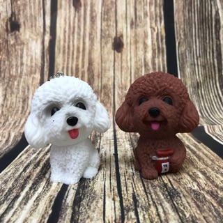 A4-11 Chó Poodle