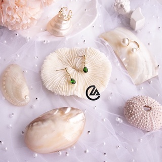 Phụ kiện biển san hô, vỏ ốc , vỏ bào ngư trang trí , chụp ảnh