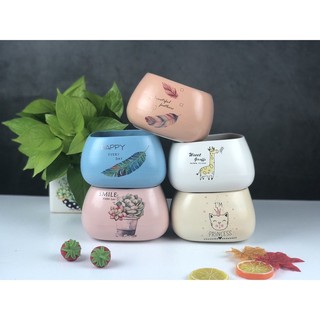 Chậu cây để bàn - chậu angsa 10x12cm