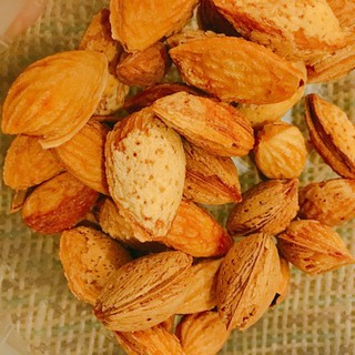Hạt Dẻ Rừng ( Hạnh Nhân Sa Pa )