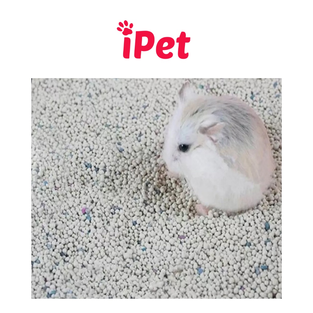 Cát Sand Lót Chuồng Hamster 1kg - iPet
