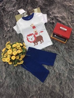 Combo 4 bộ bé trai carter