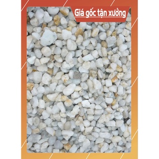 Sỏi lọc nước/ Trang trí chậu hoa, hồ cá 1 kg [Chính hãng] [Có sẵn] [Ảnh thật]