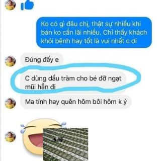 Tinh dầu tràm Huế