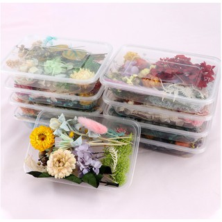 Hộp Hoa Khô Mix Nhiều Mẫu