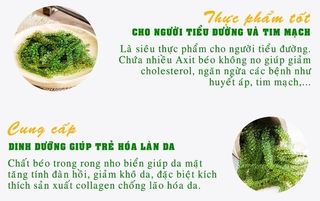 Rong nho tách nước 100g